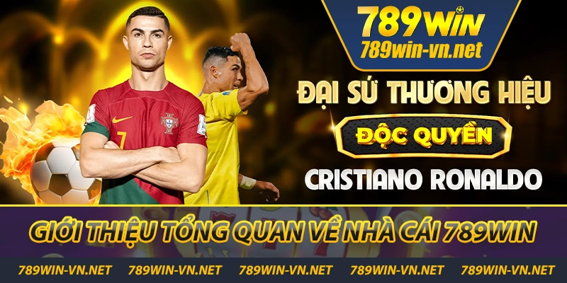 789WIN msjmu 🎖️ Trang Chủ Đăng Nhập 789WIN VN Tháng 10/2025 36 Tổng quan về nhà cái 789WIN