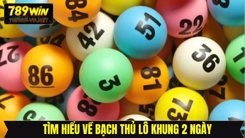 Bạch thủ lô khung 2 ngày siêu hiệu quả