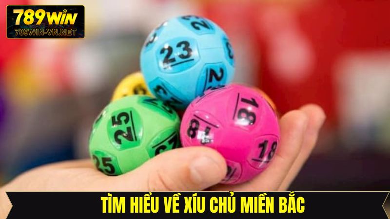 Định nghĩa về khái niệm Xỉu Chủ Miền Bắc 