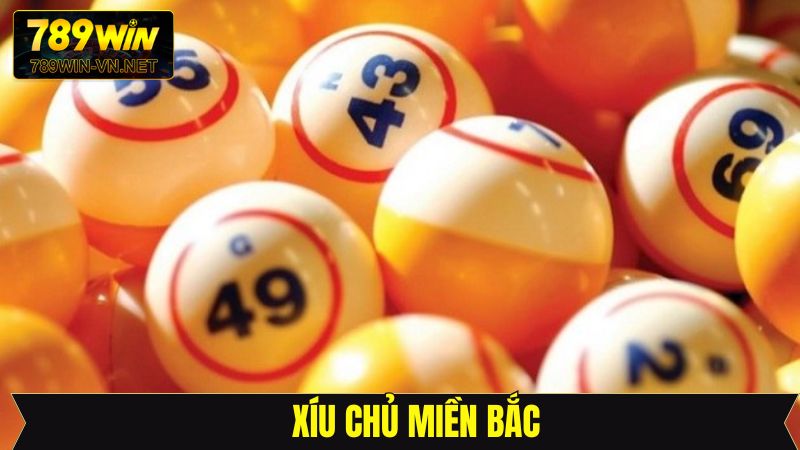 Xỉu Chủ Miền Bắc 789WIN: Phương Pháp Soi Cầu Chính Xác Nhất