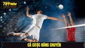 Cá Cược Bóng Chuyền - Cơ Hội Làm Giàu Nhanh Chóng Tại 789Win