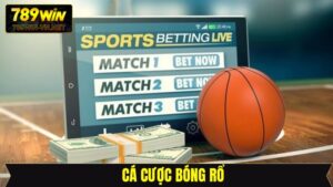 Cá Cược Bóng Rổ - Tận Hưởng Kèo Cược Cùng Bí Kíp Hay 789Win