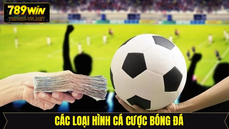 Tổng hợp các loại kèo phổ biến trong cá độ bóng đá tại 789Win