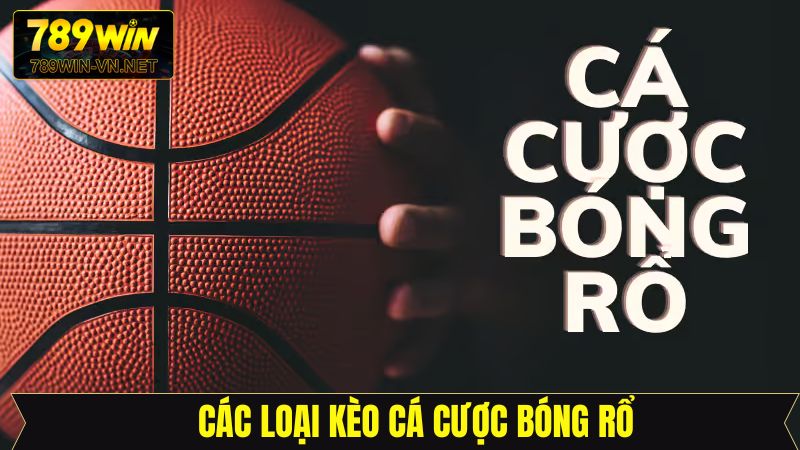 Tổng hợp các loại cá cược bóng rổ phổ biến 789Win