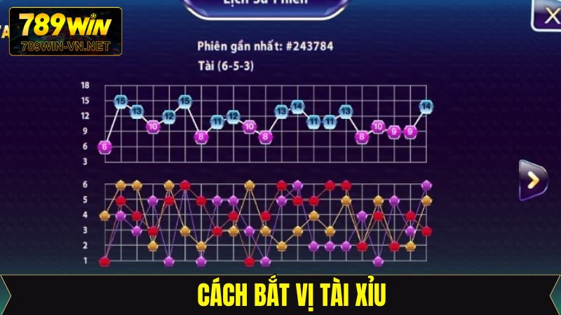 Cách Bắt Vị Tài Xỉu - Tăng Phần Thắng Khi Cá Cược Tại 789Win