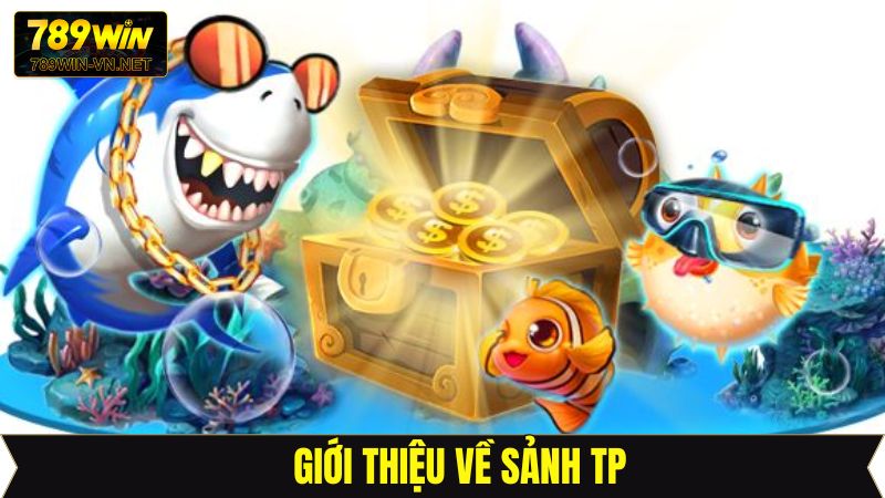 Khái niệm về sảnh TP
