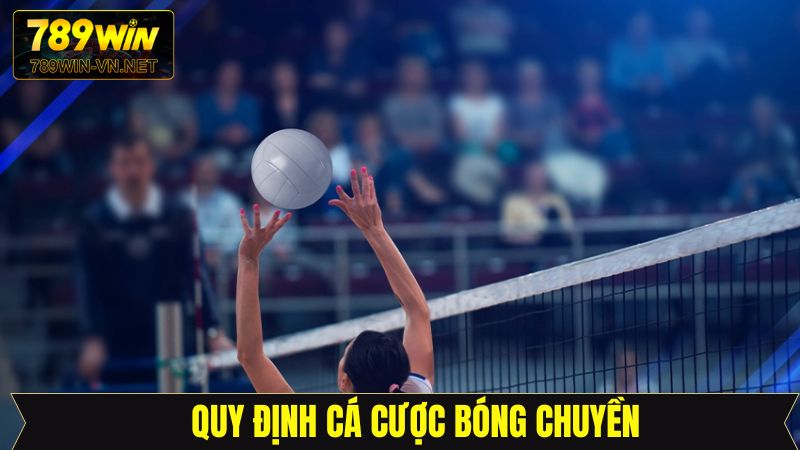  Nắm rõ luật chơi cá cược bóng chuyền tại 789Win
