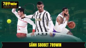Sbobet 789Win - Sảnh Cược Đẳng Cấp Hàng Đầu Khi Cá Độ