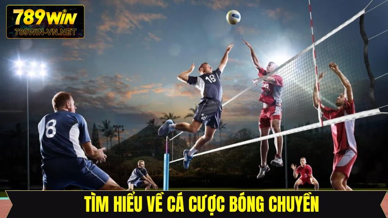 Cá cược bóng chuyền là gì?