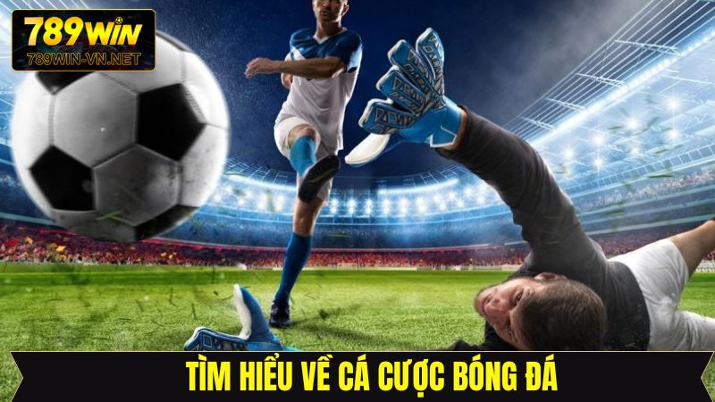 Sơ lược về cá cược bóng đá