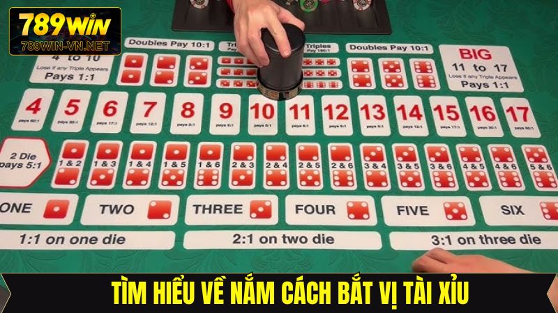 Đôi nét cơ bản về cách bắt vị Tài Xỉu